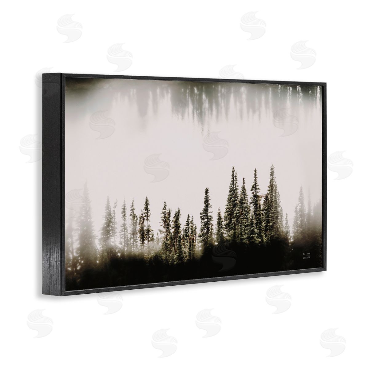 Nathan Larson Waterwood Tree Composition Black Framed Giclee Wall Art Print