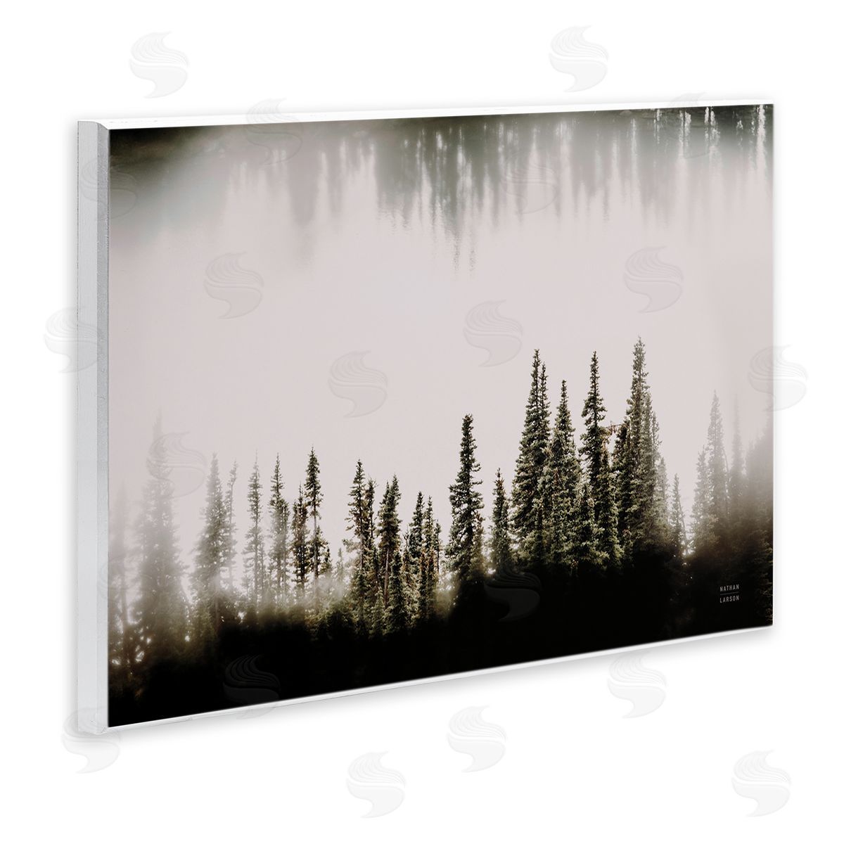 Nathan Larson Waterwood Tree Composition Wooden Wall Plaque Art Print
