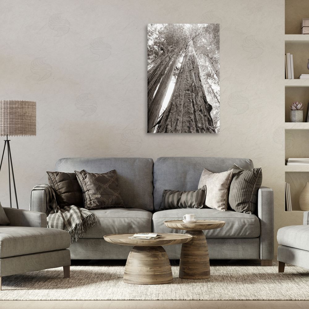 Nathan Larson Ancient Redwood Forest Canvas Wall Art Print in Room