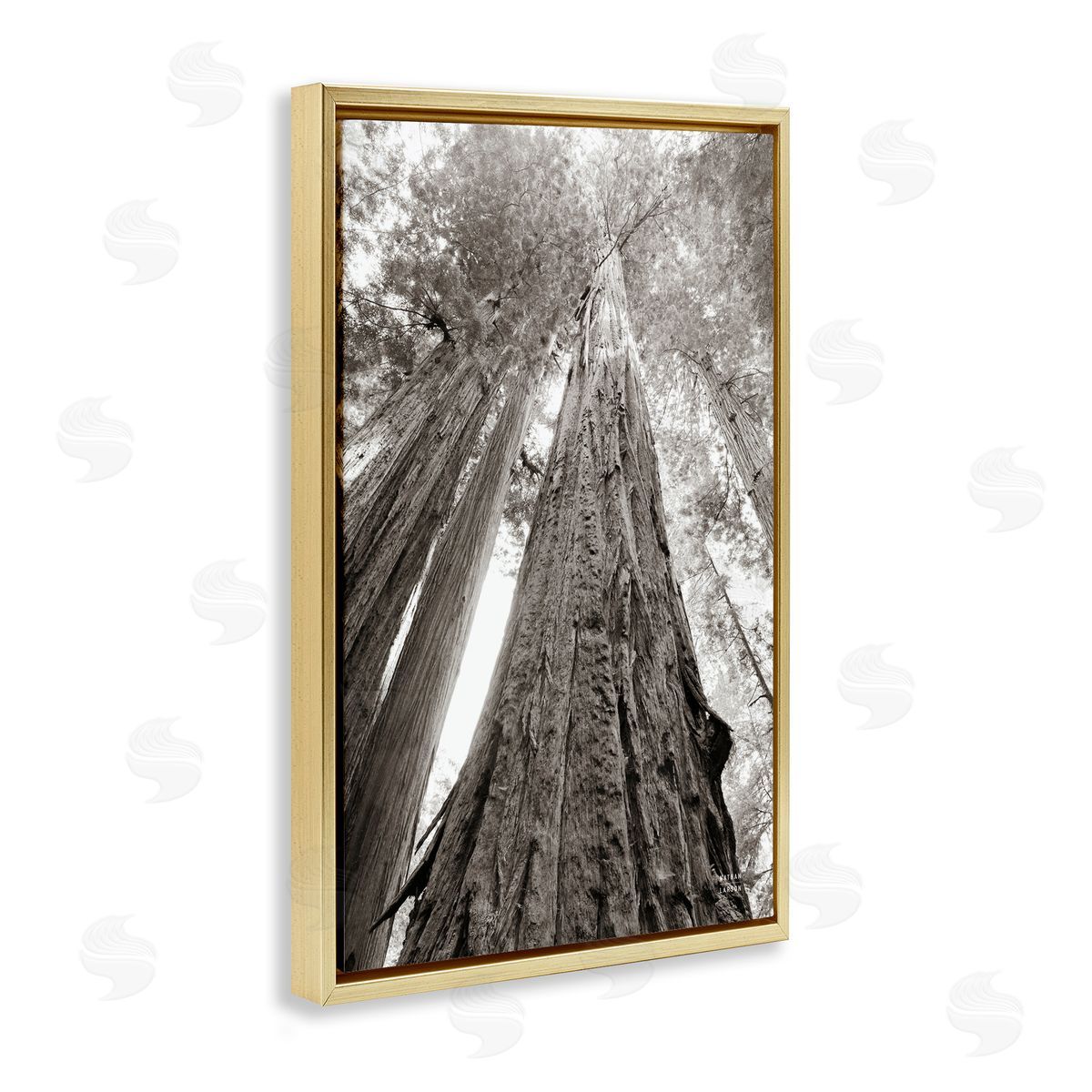 Nathan Larson Ancient Redwood Forest Gold Floating Frame Canvas Wall Art Print