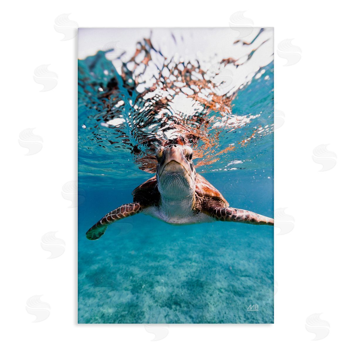 Max Blakesberg Studios Hello Sea Turtle Splash Canvas Wall Art Print