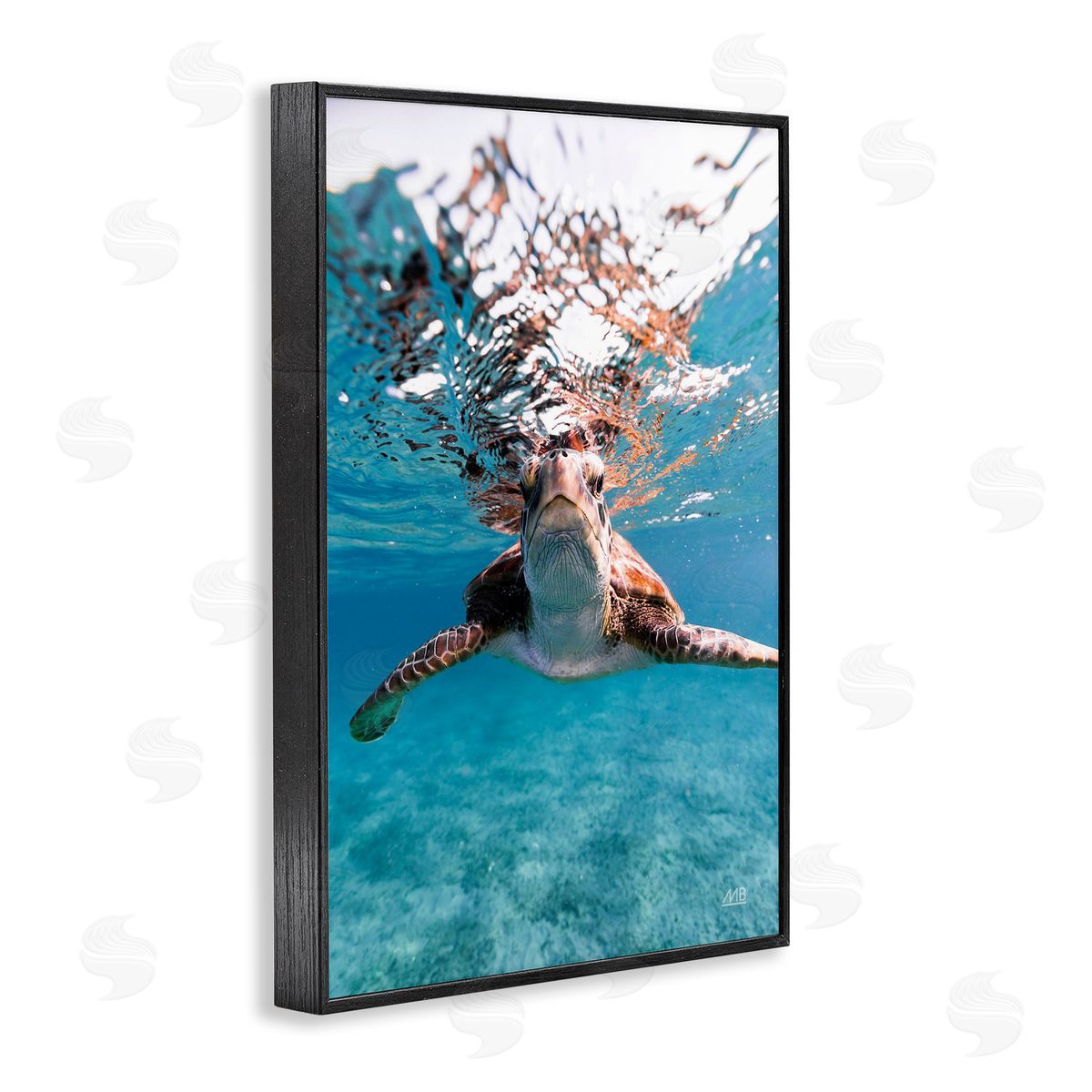 Max Blakesberg Studios Hello Sea Turtle Splash Black Framed Giclee Wall Art Print