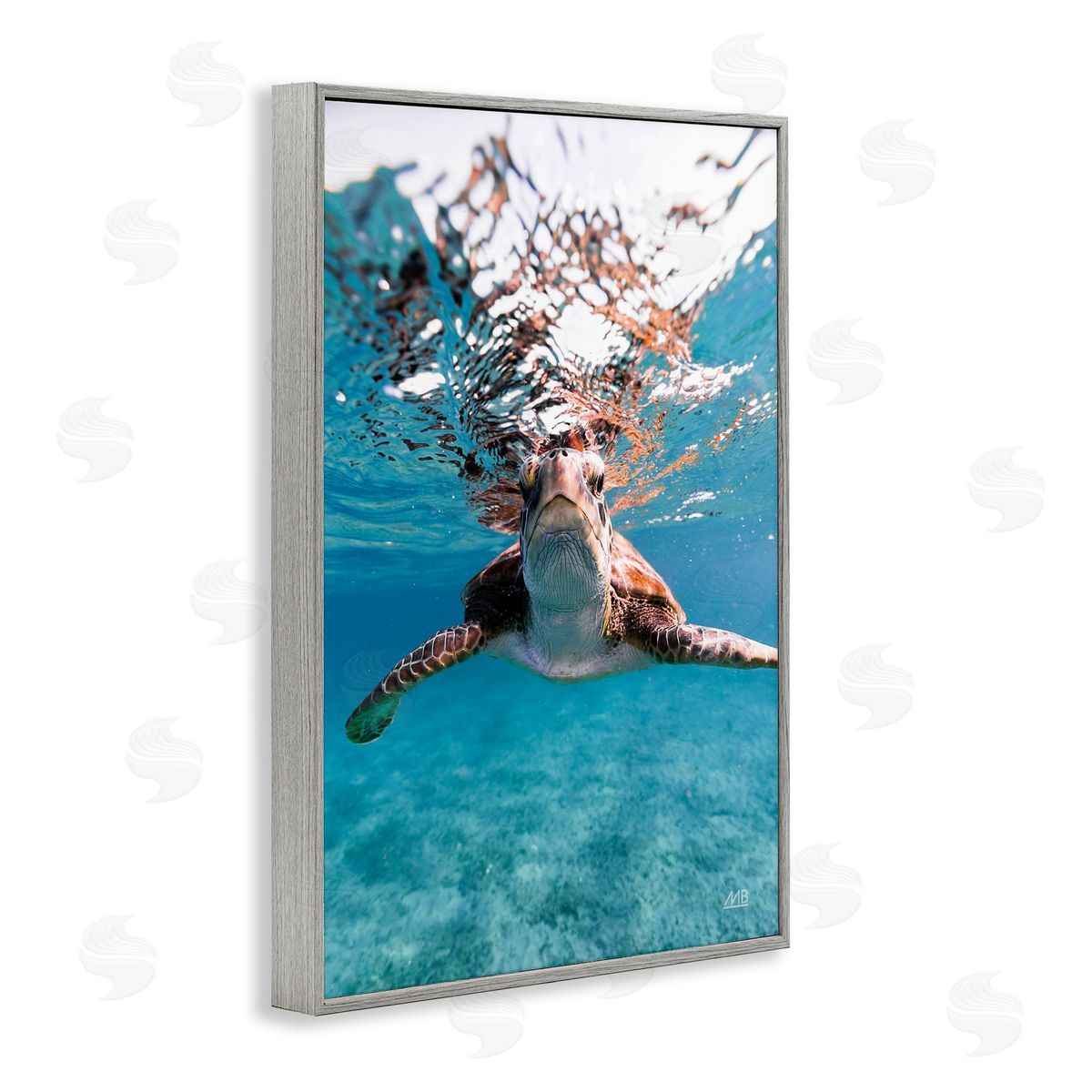 Max Blakesberg Studios Hello Sea Turtle Splash Gray Framed Giclee Wall Art Print