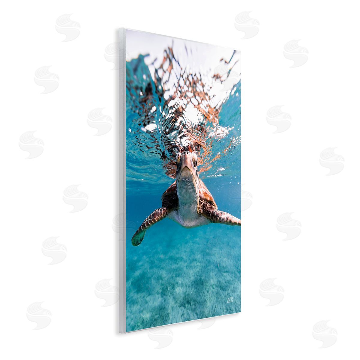 Max Blakesberg Studios Hello Sea Turtle Splash Wooden Wall Plaque Art Print