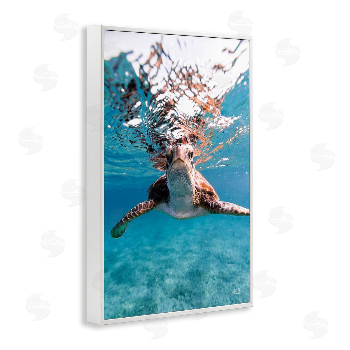Max Blakesberg Studios Hello Sea Turtle Splash White Framed Giclee Wall Art Print