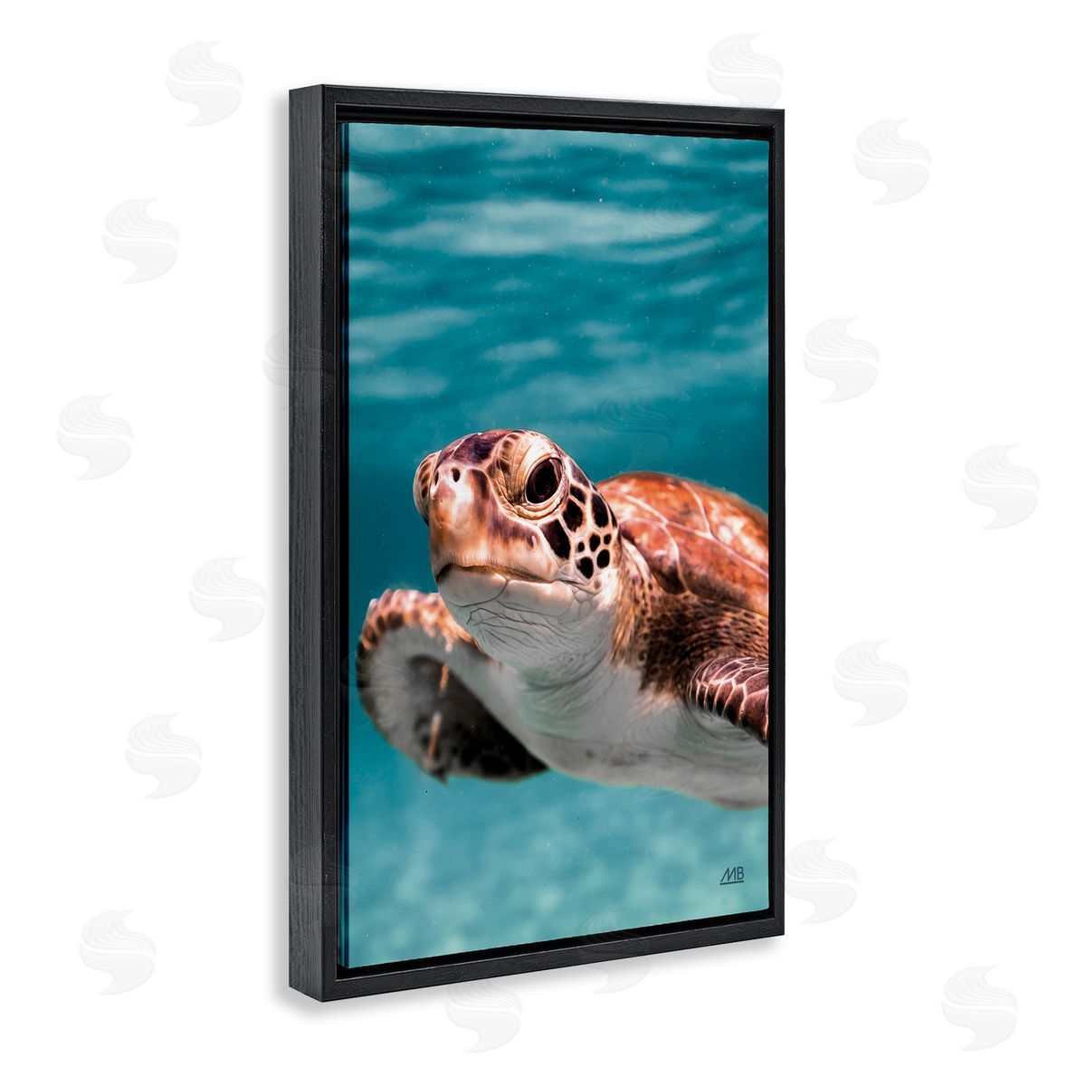 Max Blakesberg Studios Underwater Sea Turtle Swim Black Floating Frame Canvas Wall Art Print