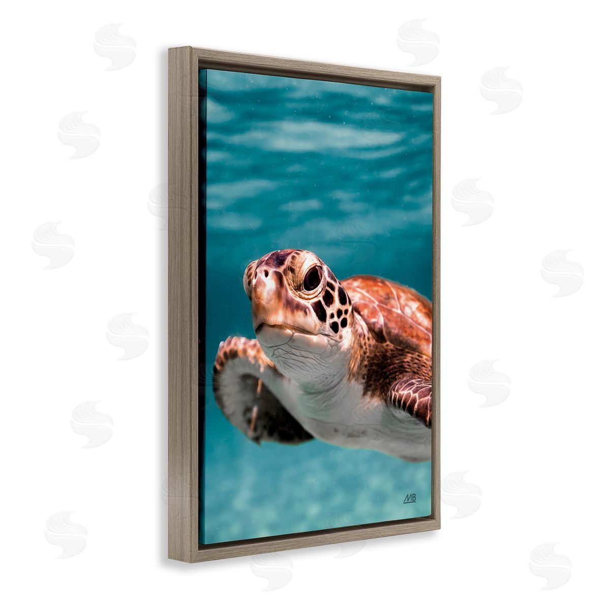 Max Blakesberg Studios Underwater Sea Turtle Swim Brown Floating Frame Canvas Wall Art Print
