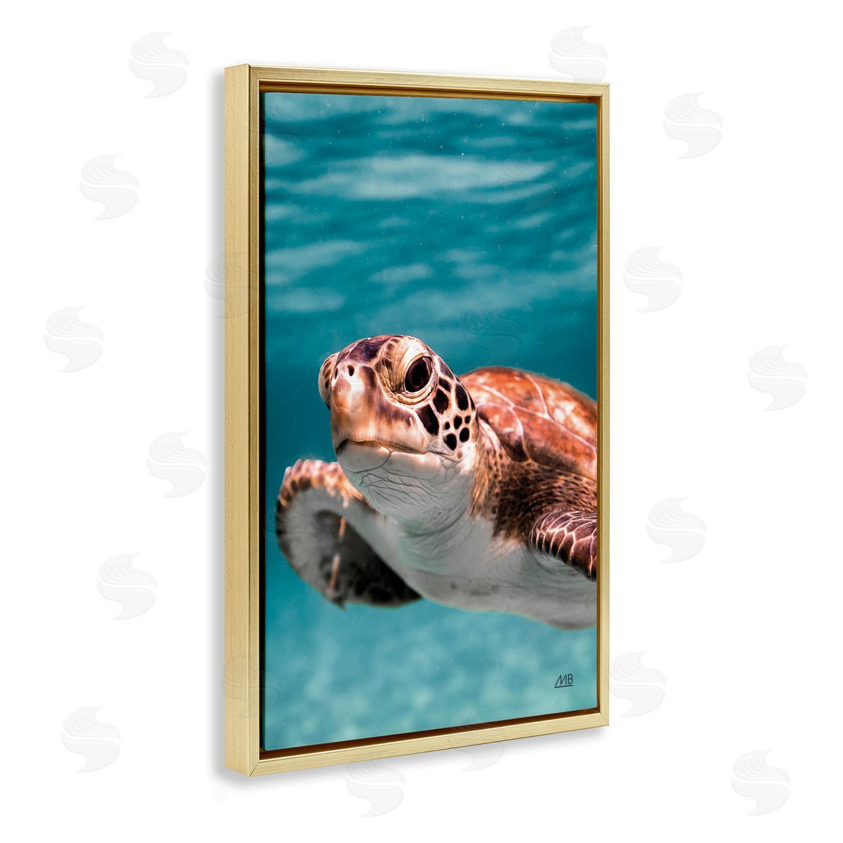 Max Blakesberg Studios Underwater Sea Turtle Swim Gold Floating Frame Canvas Wall Art Print