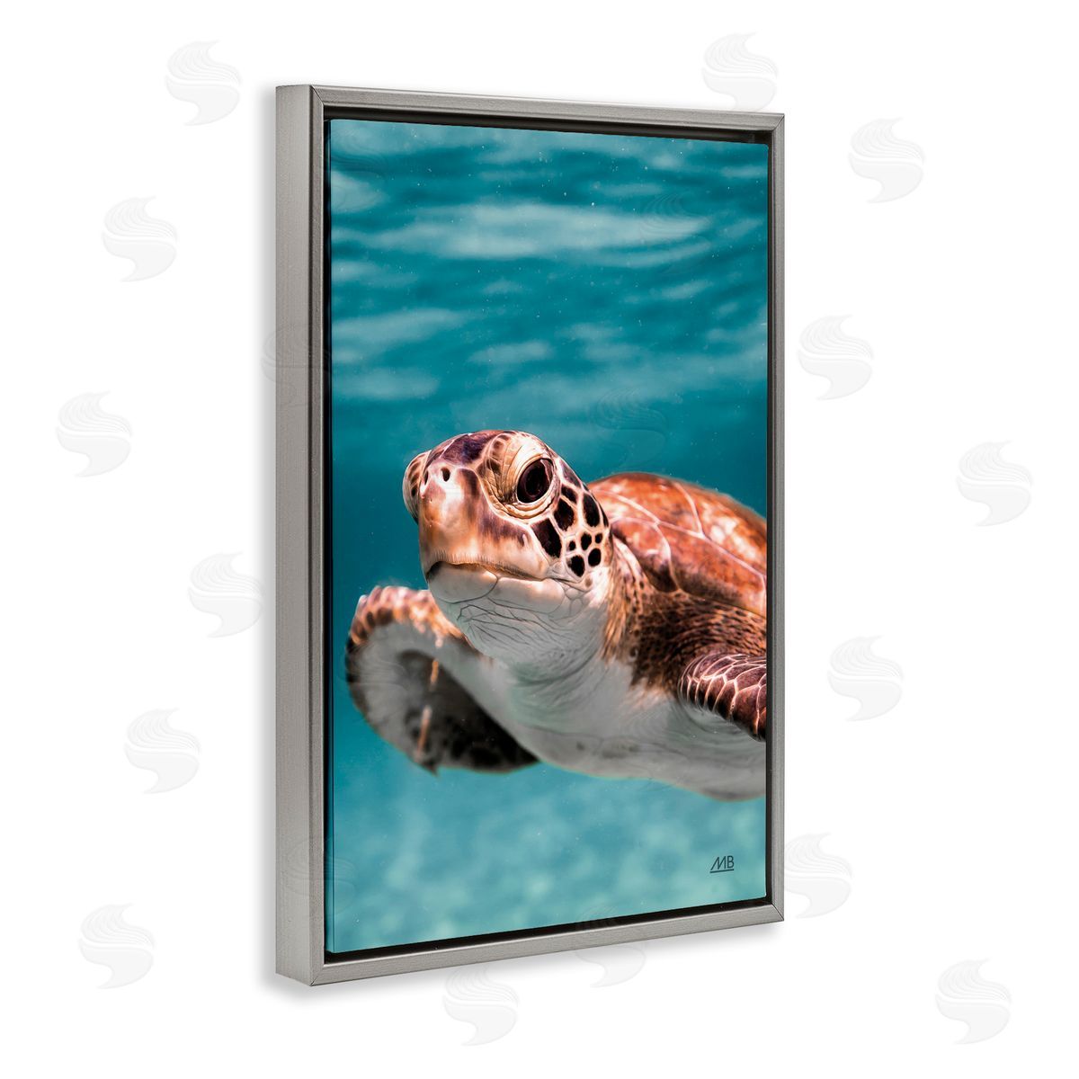 Max Blakesberg Studios Underwater Sea Turtle Swim Gray Floating Frame Canvas Wall Art Print