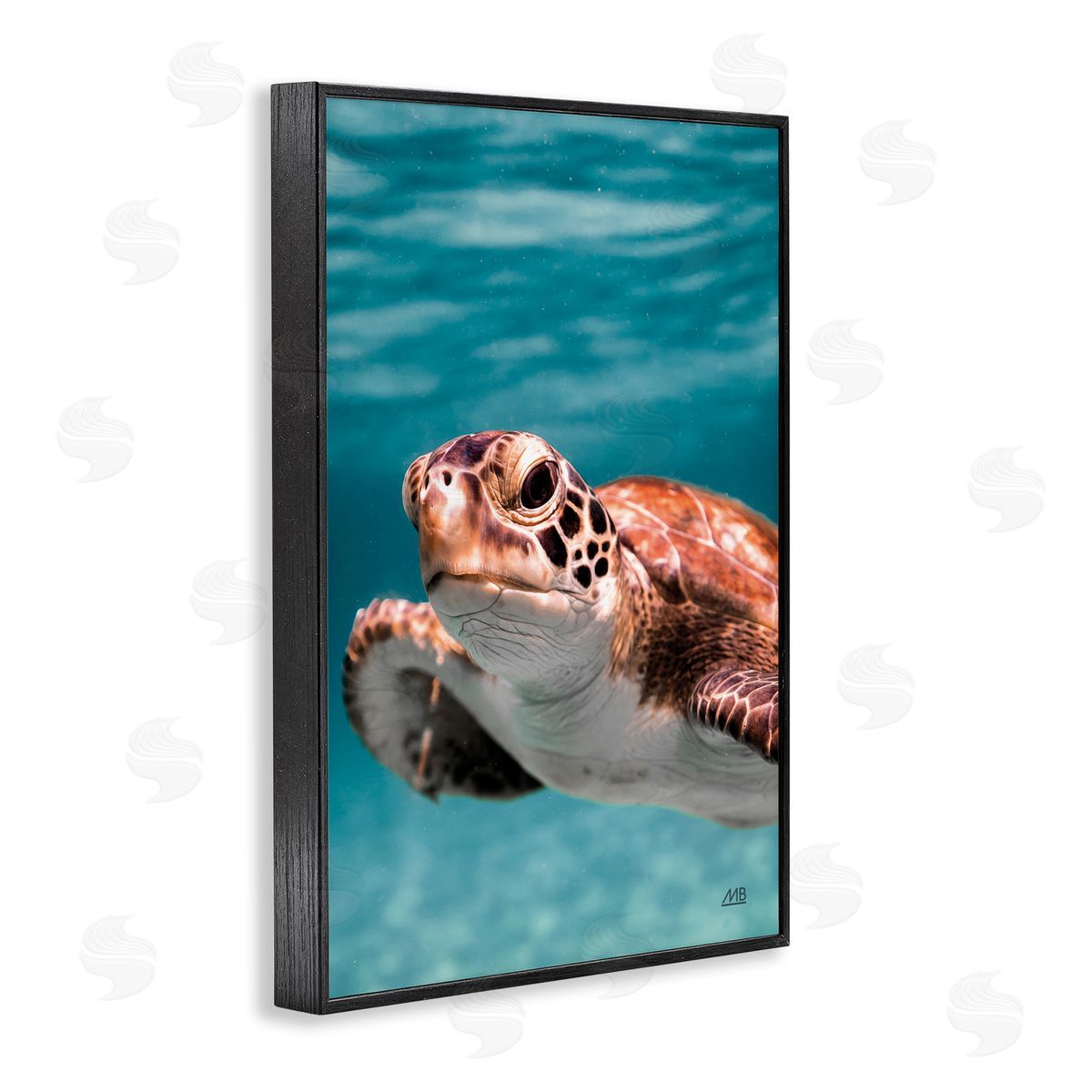 Max Blakesberg Studios Underwater Sea Turtle Swim Black Framed Giclee Wall Art Print