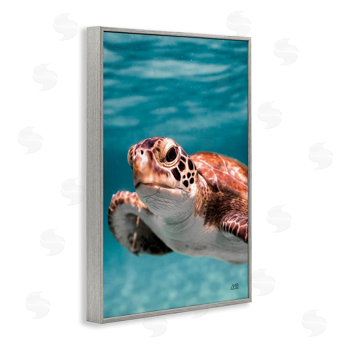 Max Blakesberg Studios Underwater Sea Turtle Swim Gray Framed Giclee Wall Art Print