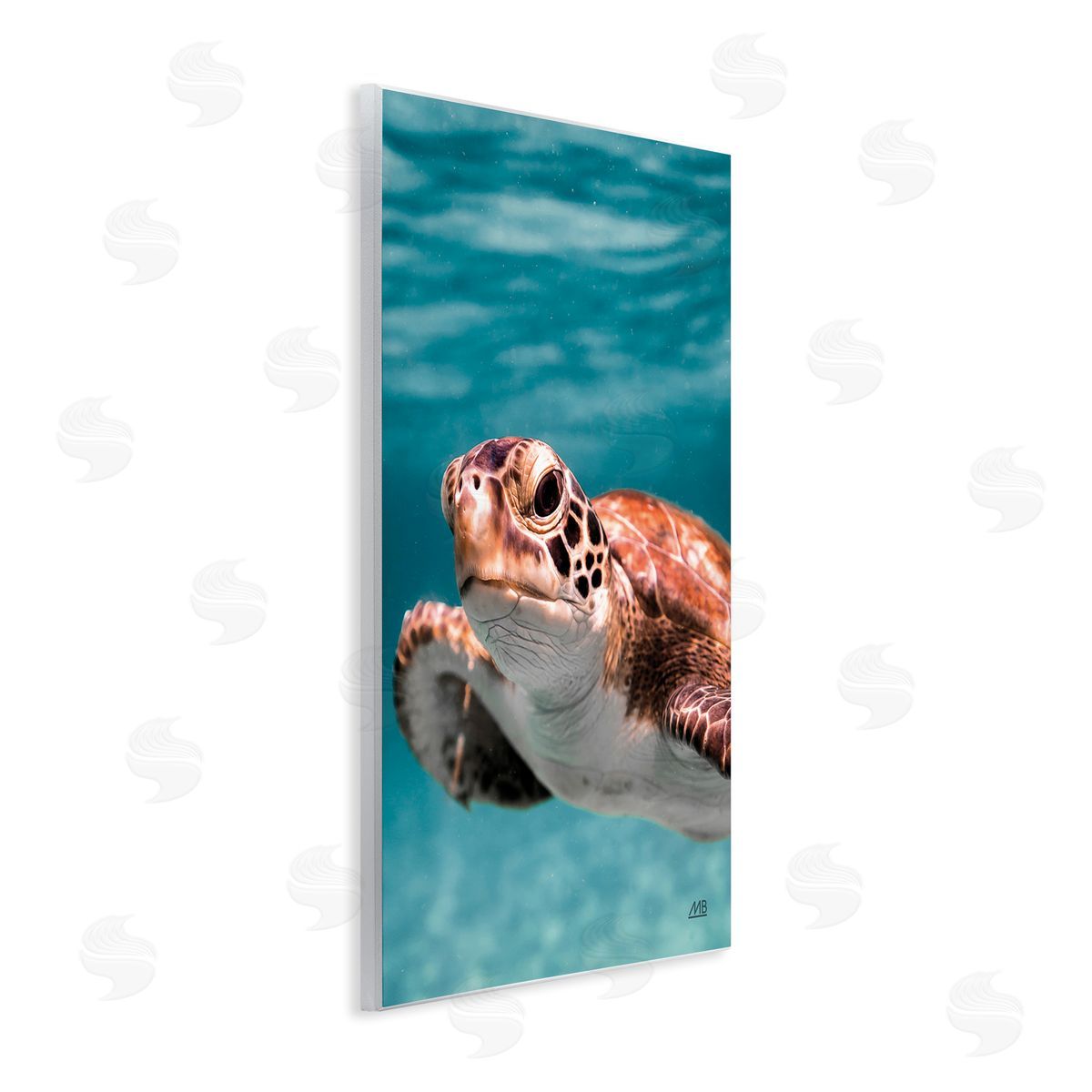 Max Blakesberg Studios Underwater Sea Turtle Swim Wooden Wall Plaque Art Print