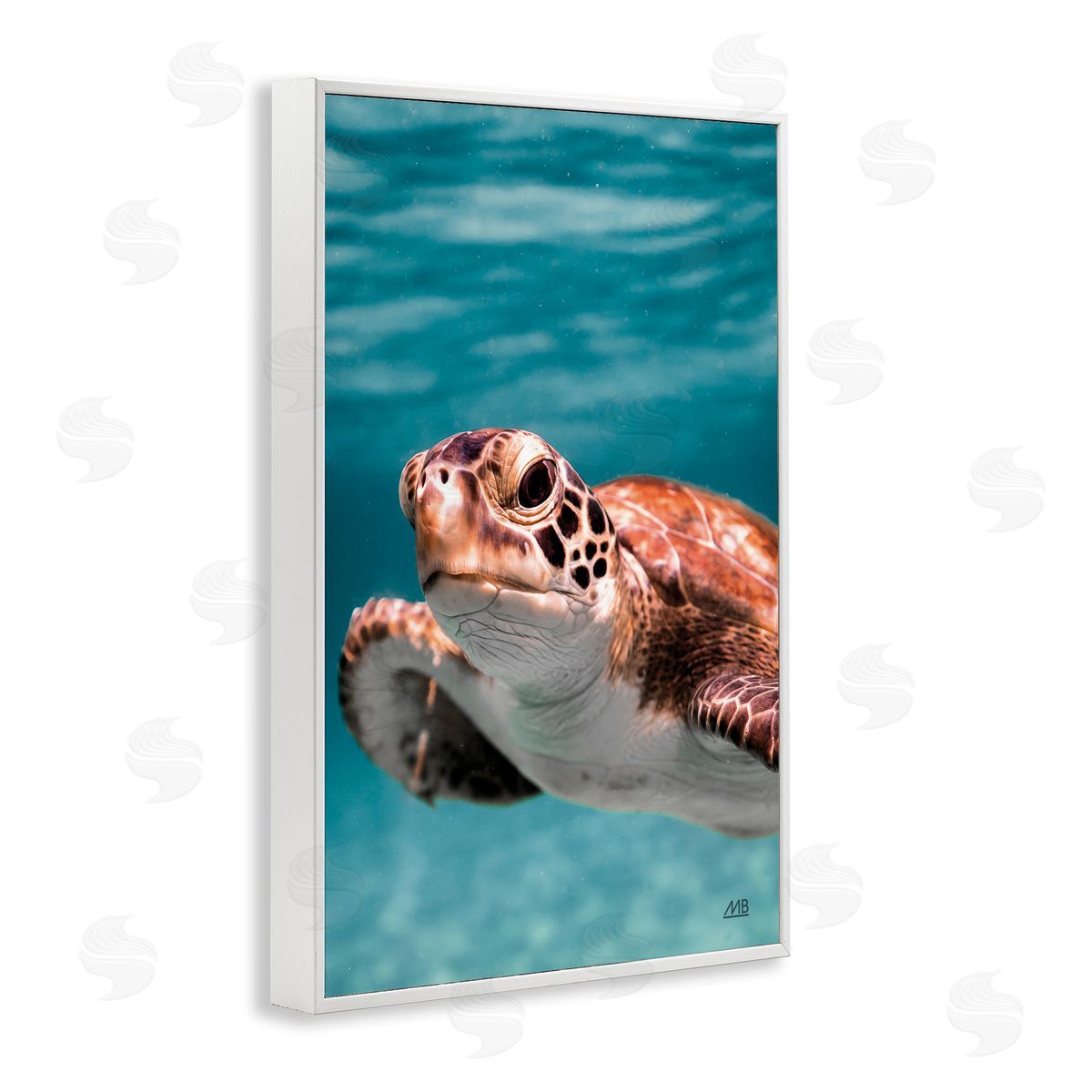 Max Blakesberg Studios Underwater Sea Turtle Swim White Framed Giclee Wall Art Print