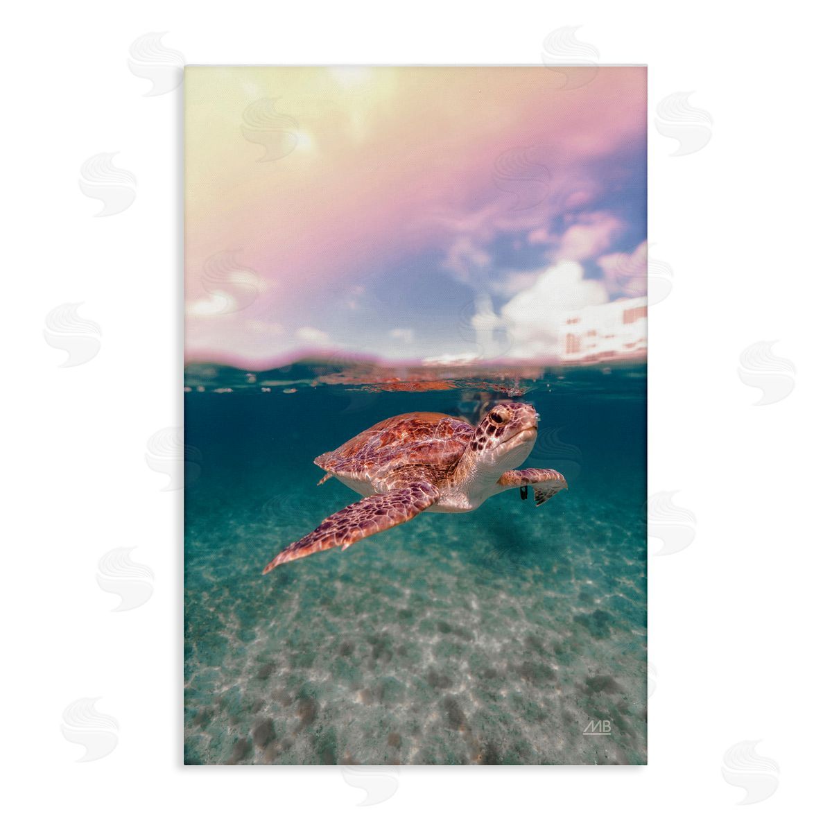 Max Blakesberg Studios Above & Below Sea Turtle Canvas Wall Art Print