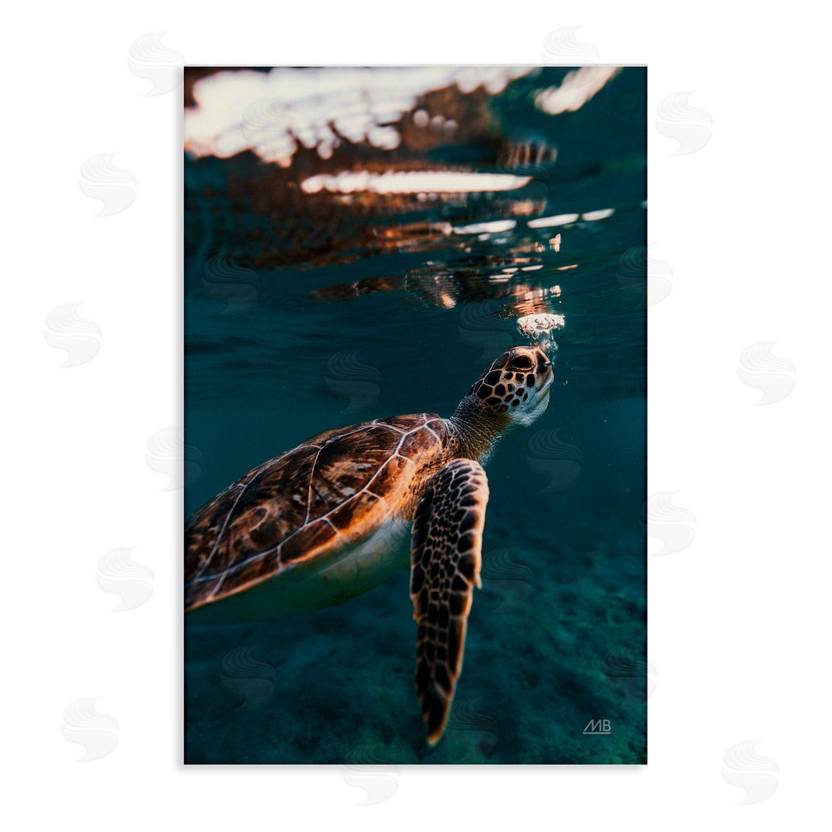 Max Blakesberg Studios Blowing Bubbles Turtle Canvas Wall Art Print