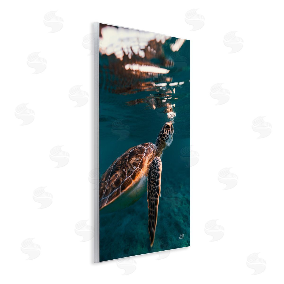 Max Blakesberg Studios Blowing Bubbles Turtle Wooden Wall Plaque Art Print