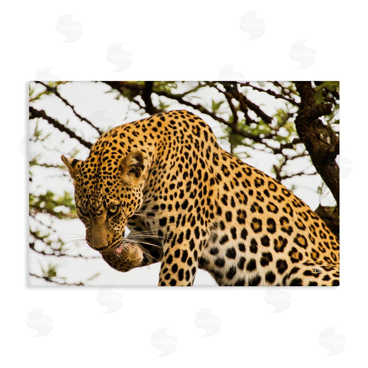 Max Blakesberg Studios Leopard After Lunch Canvas Wall Art Print
