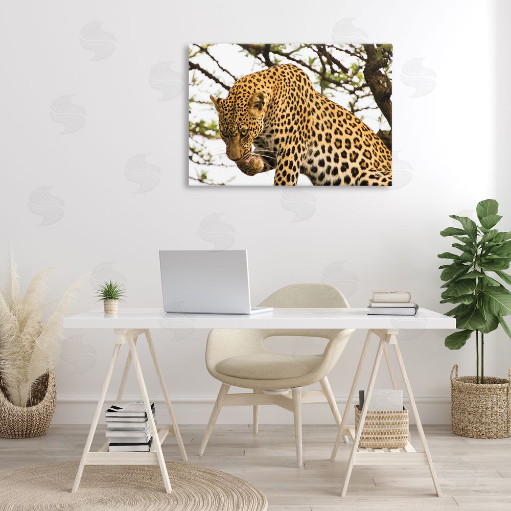 Max Blakesberg Studios Leopard After Lunch Canvas Wall Art Print in Room