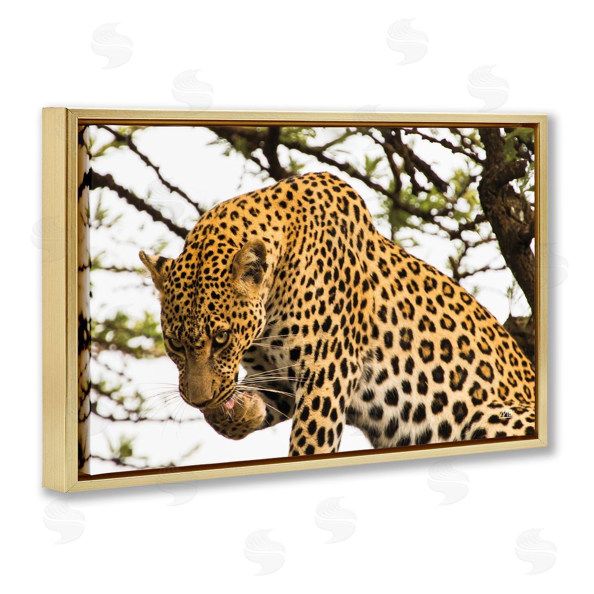 Max Blakesberg Studios Leopard After Lunch Gold Floating Frame Canvas Wall Art Print