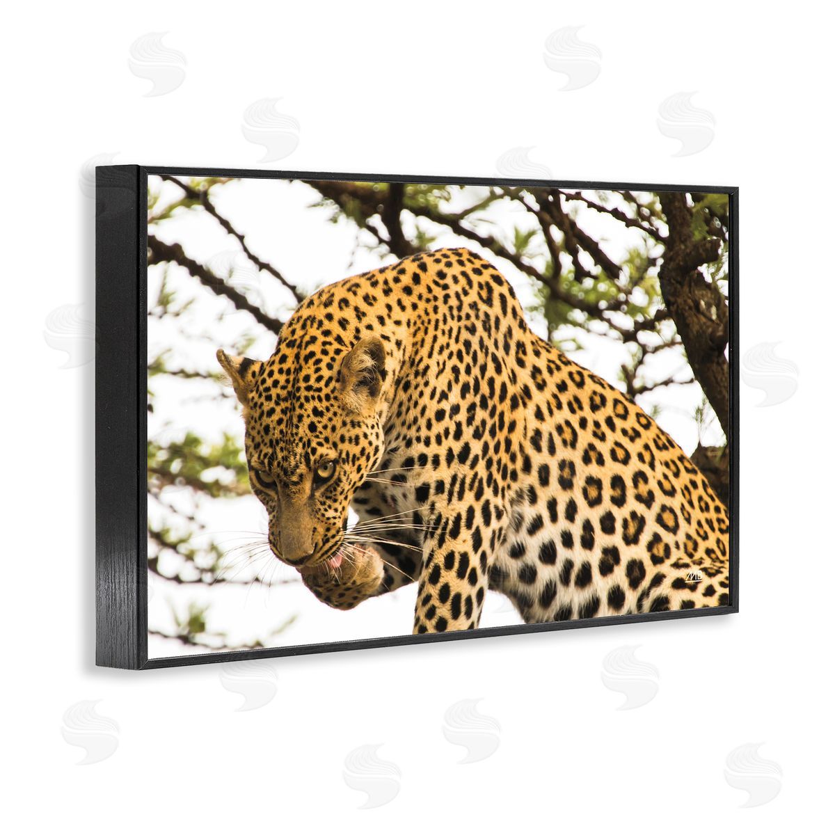 Max Blakesberg Studios Leopard After Lunch Black Framed Giclee Wall Art Print