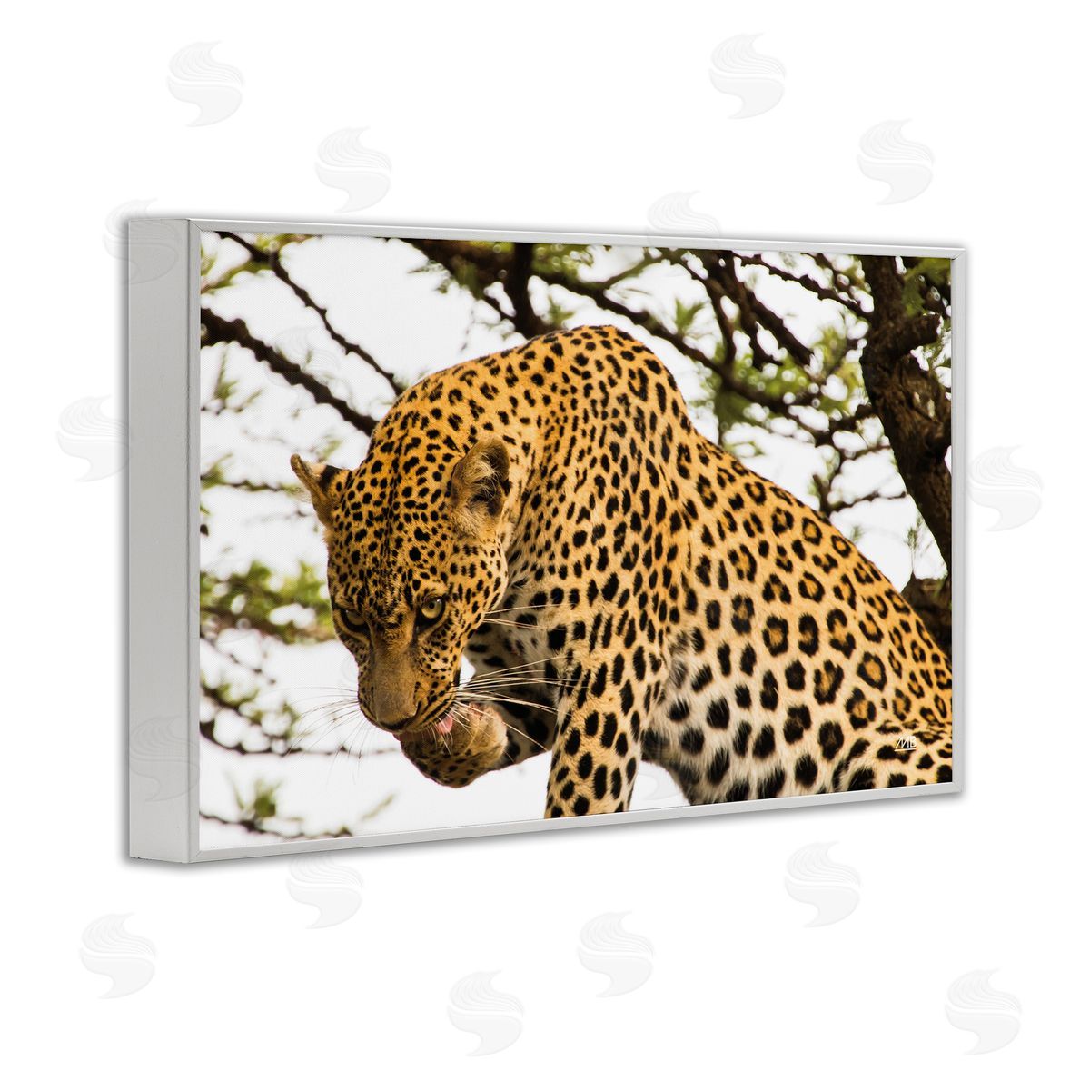 Max Blakesberg Studios Leopard After Lunch White Framed Giclee Wall Art Print