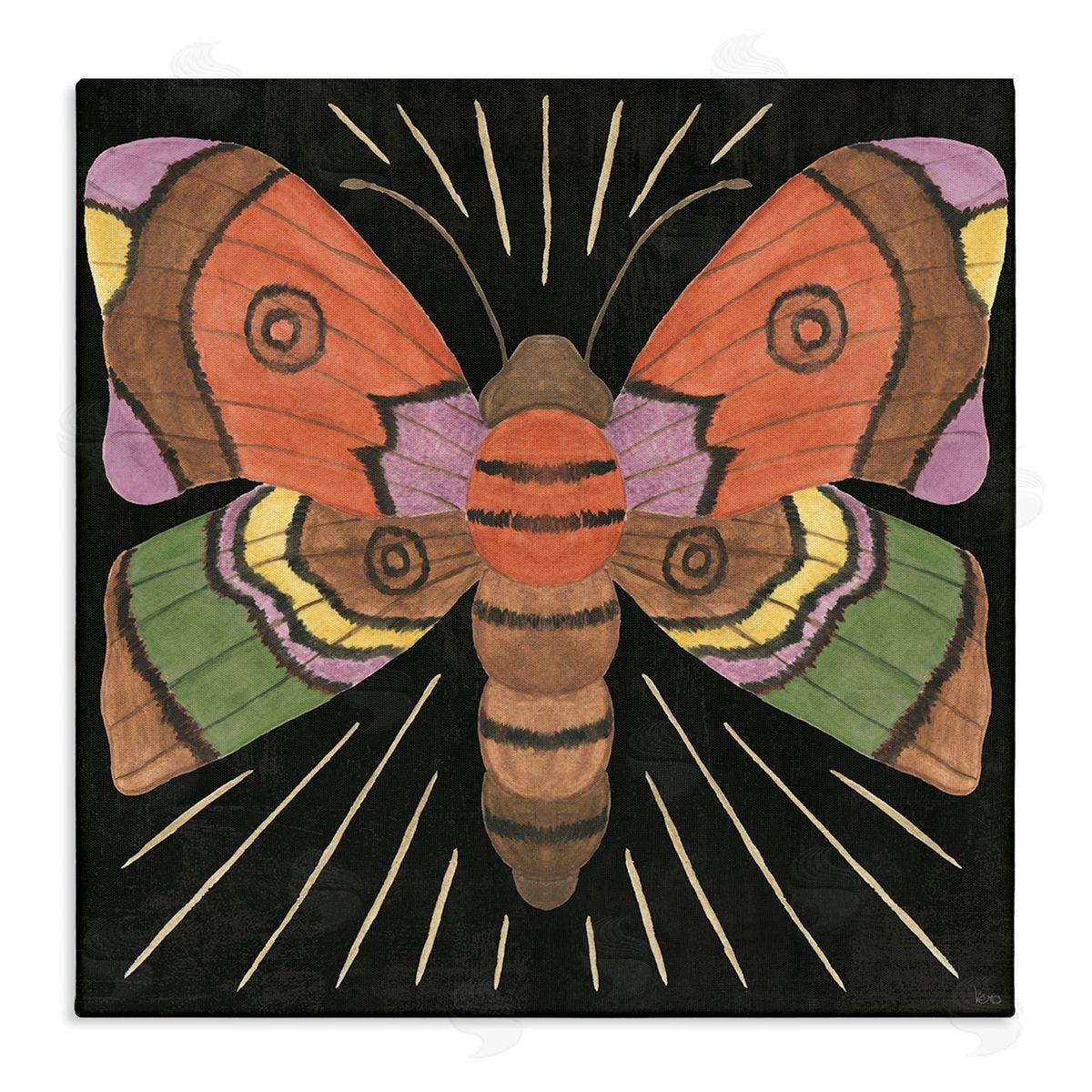 Veronique Charron Spooky Chic Moth Canvas Wall Art Print