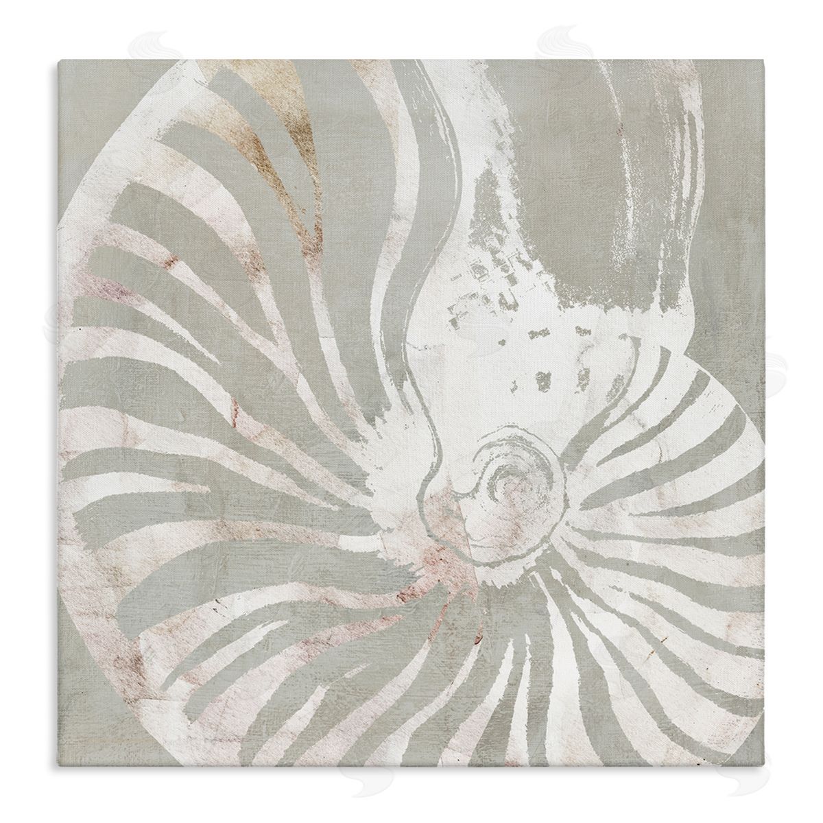 Carol Robinson Beige Nautilus Pattern Canvas Wall Art Print