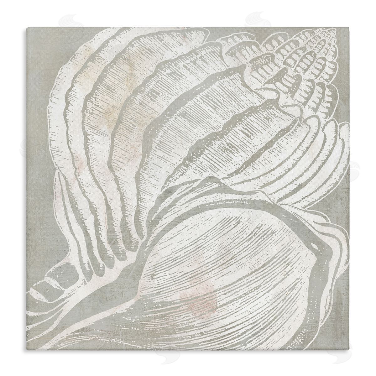 Carol Robinson Beige Conch Pattern Canvas Wall Art Print