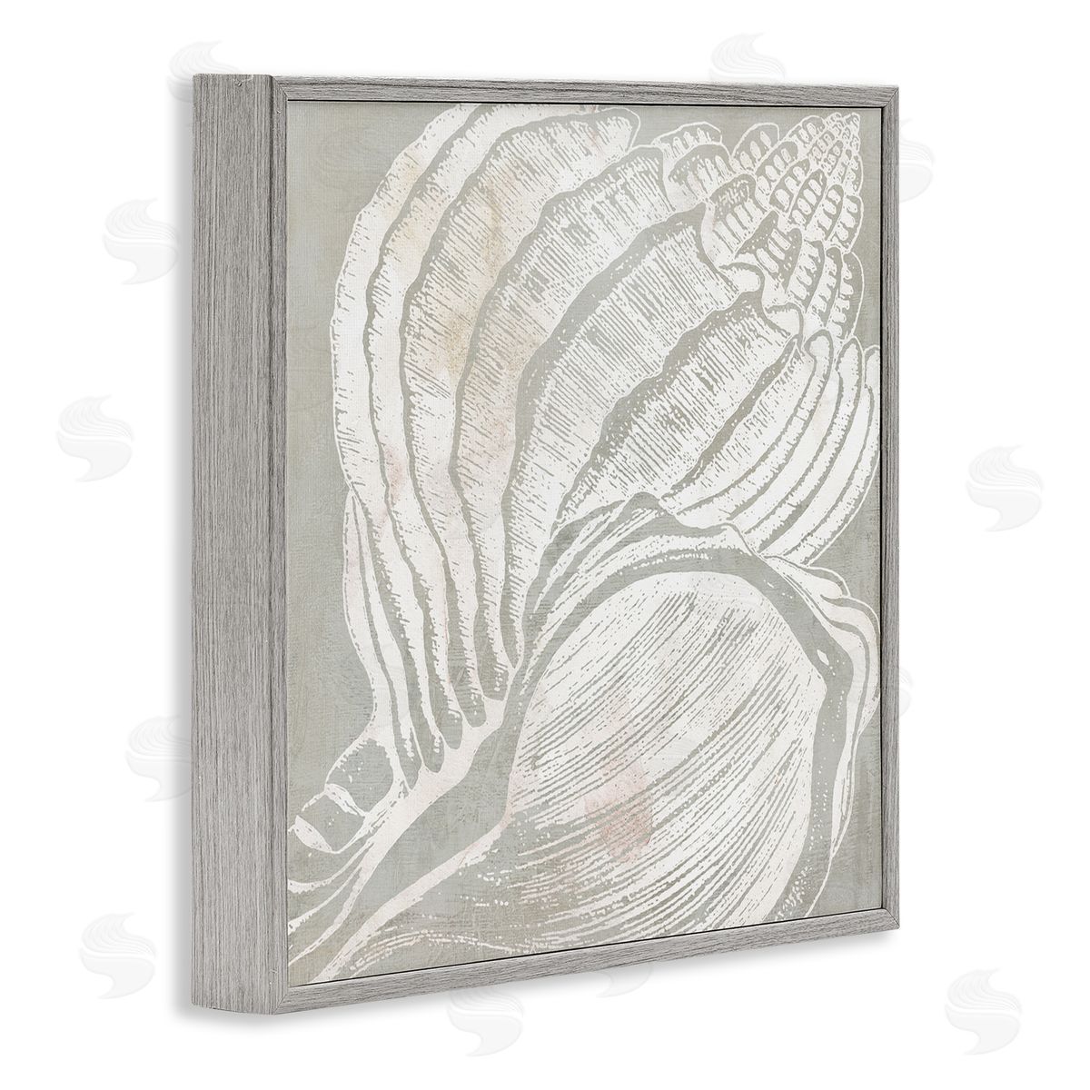 Carol Robinson Beige Conch Pattern Gray Framed Giclee Wall Art Print