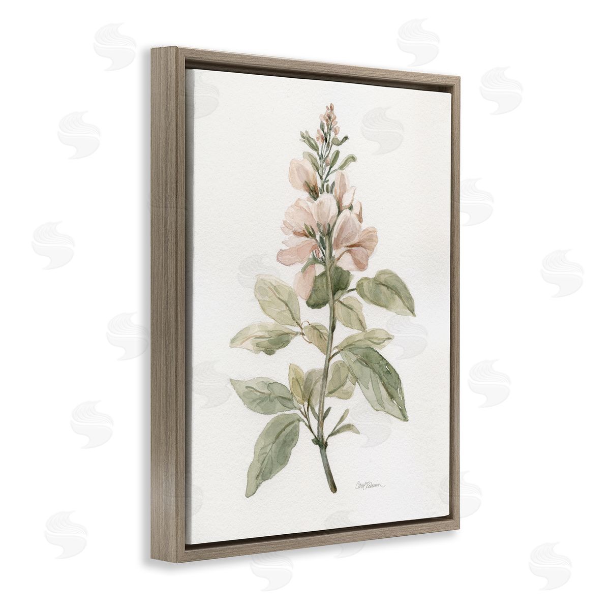 Carol Robinson Subtle Watercolor Botanicals Brown Floating Frame Canvas Wall Art Print