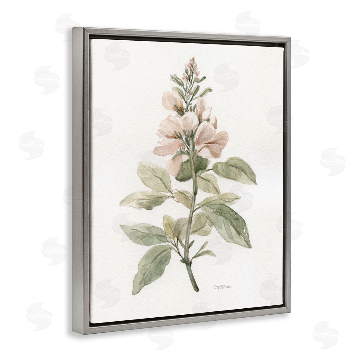 Carol Robinson Subtle Watercolor Botanicals Gray Floating Frame Canvas Wall Art Print