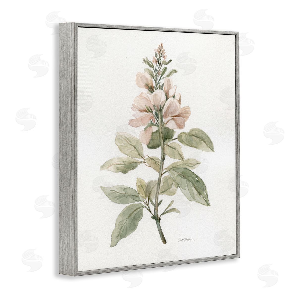 Carol Robinson Subtle Watercolor Botanicals Gray Framed Giclee Wall Art Print
