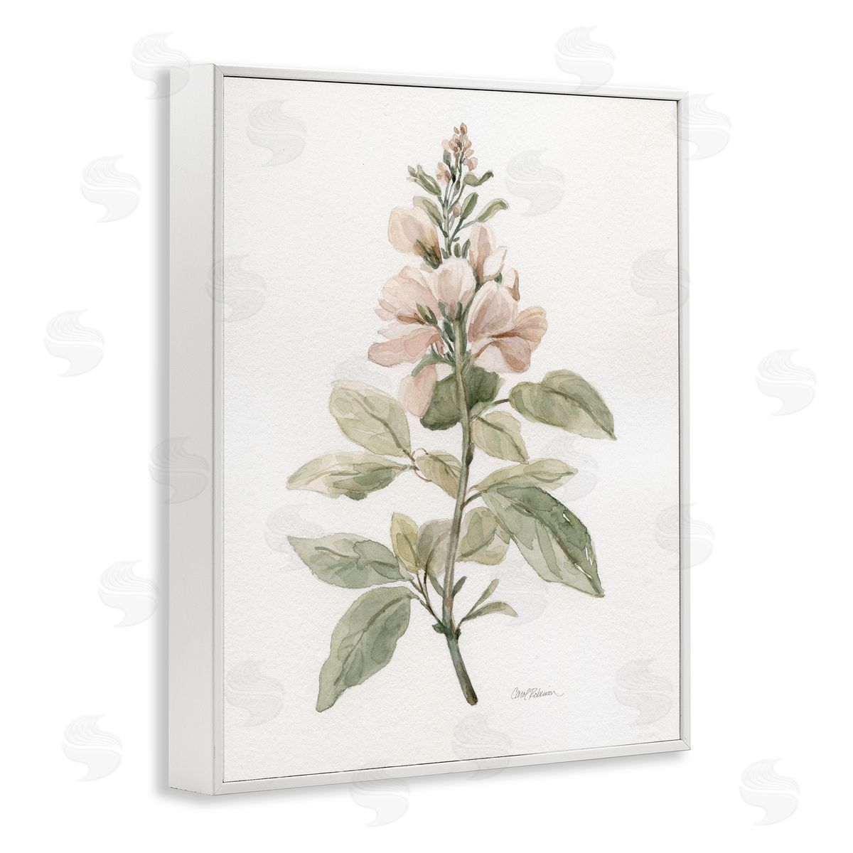Carol Robinson Subtle Watercolor Botanicals White Framed Giclee Wall Art Print