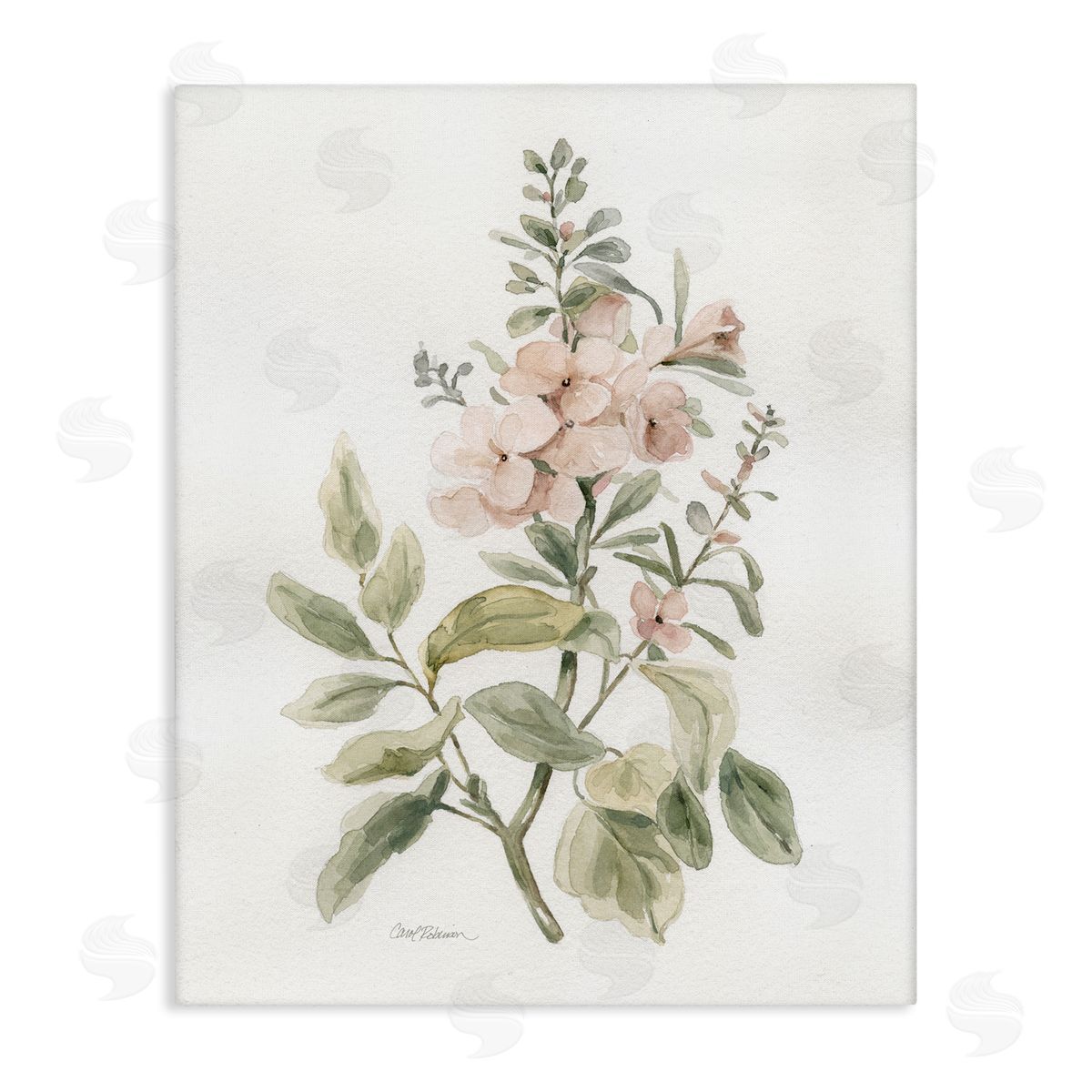 Carol Robinson Dainty Blooming Botanical Canvas Wall Art Print