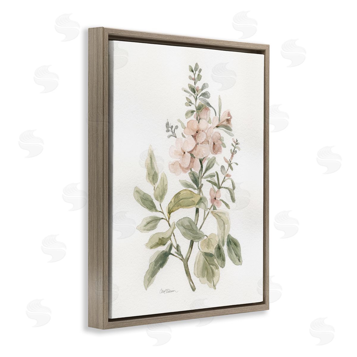 Carol Robinson Dainty Blooming Botanical Brown Floating Frame Canvas Wall Art Print