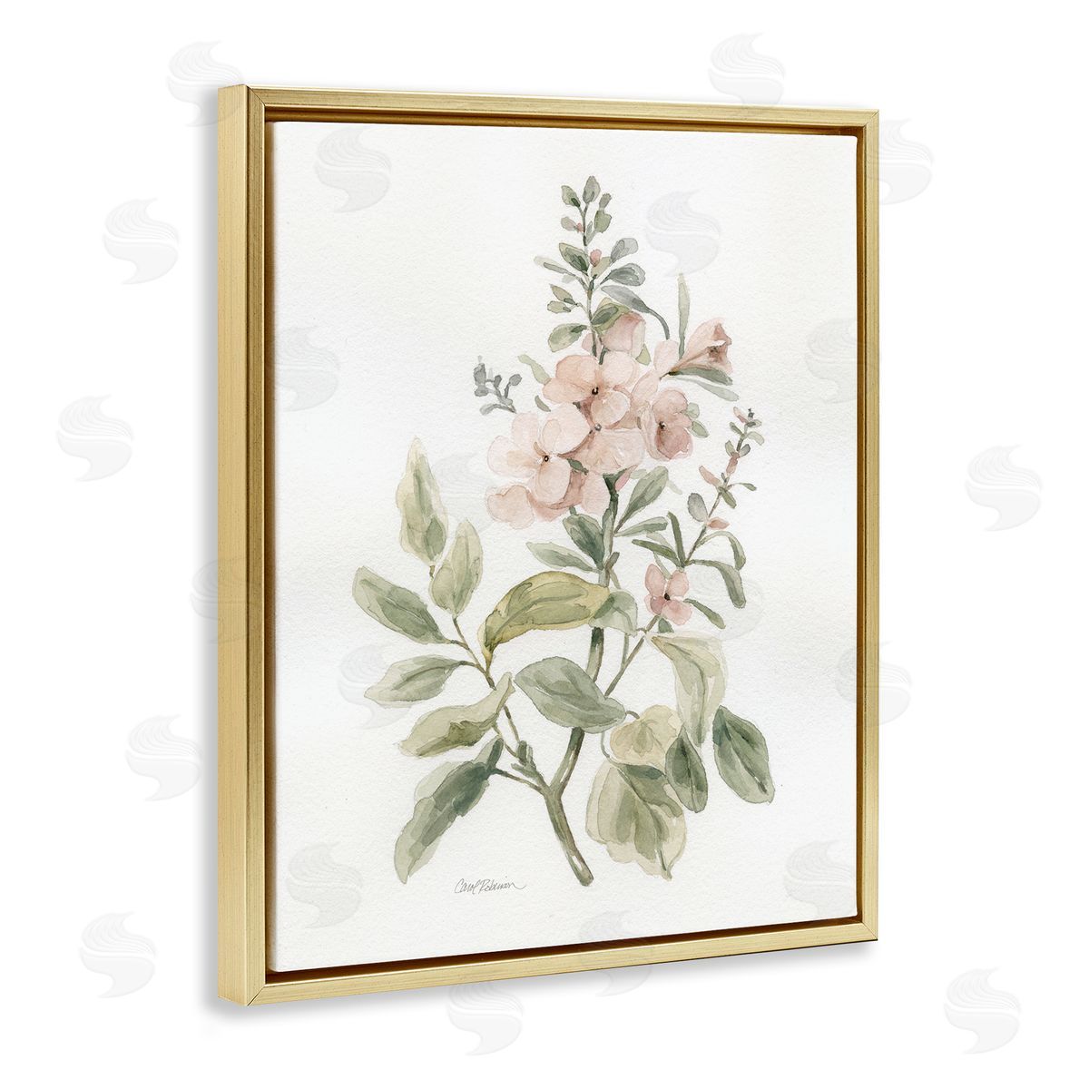 Carol Robinson Dainty Blooming Botanical Gold Floating Frame Canvas Wall Art Print