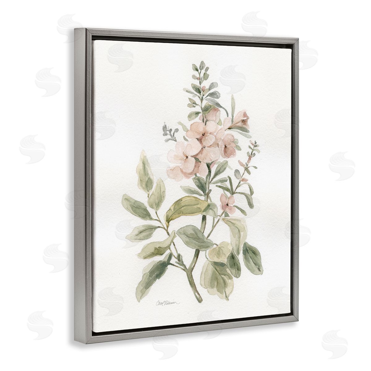 Carol Robinson Dainty Blooming Botanical Gray Floating Frame Canvas Wall Art Print