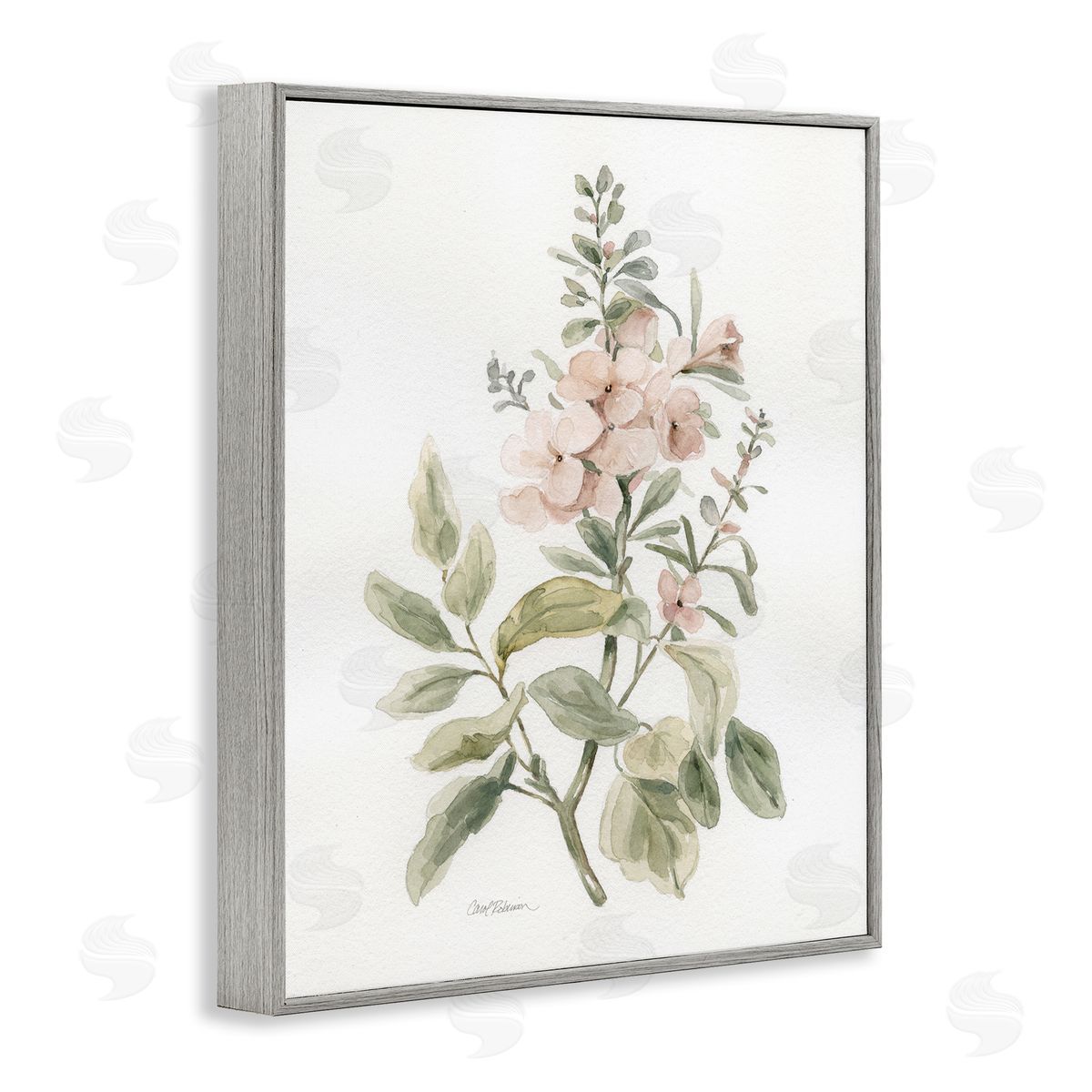 Carol Robinson Dainty Blooming Botanical Gray Framed Giclee Wall Art Print