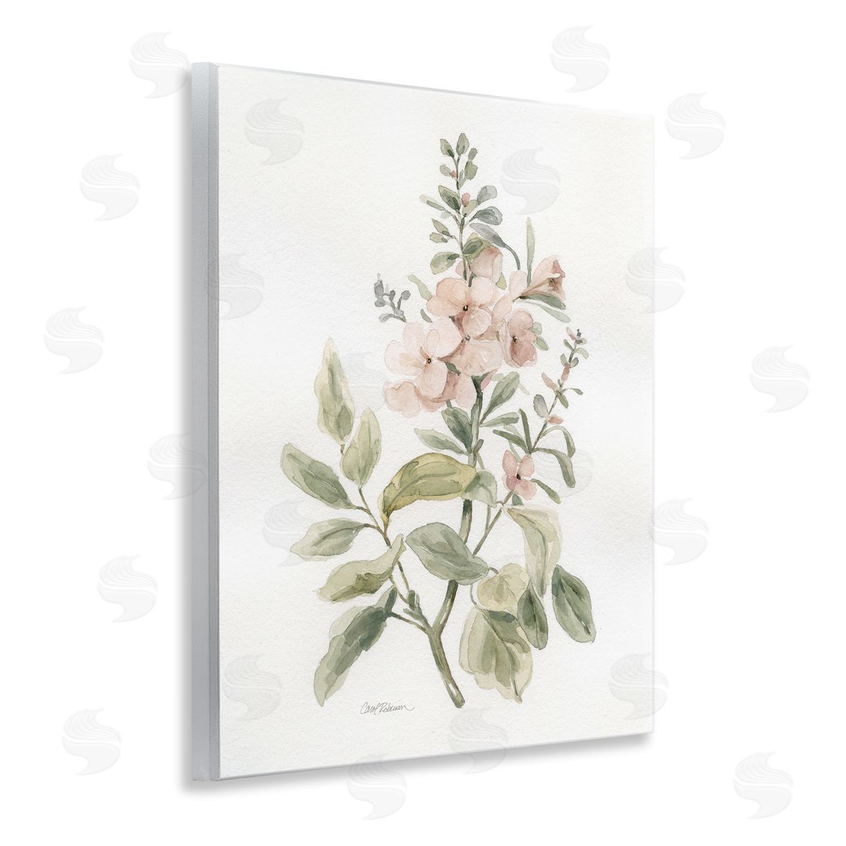 Carol Robinson Dainty Blooming Botanical Wooden Wall Plaque Art Print