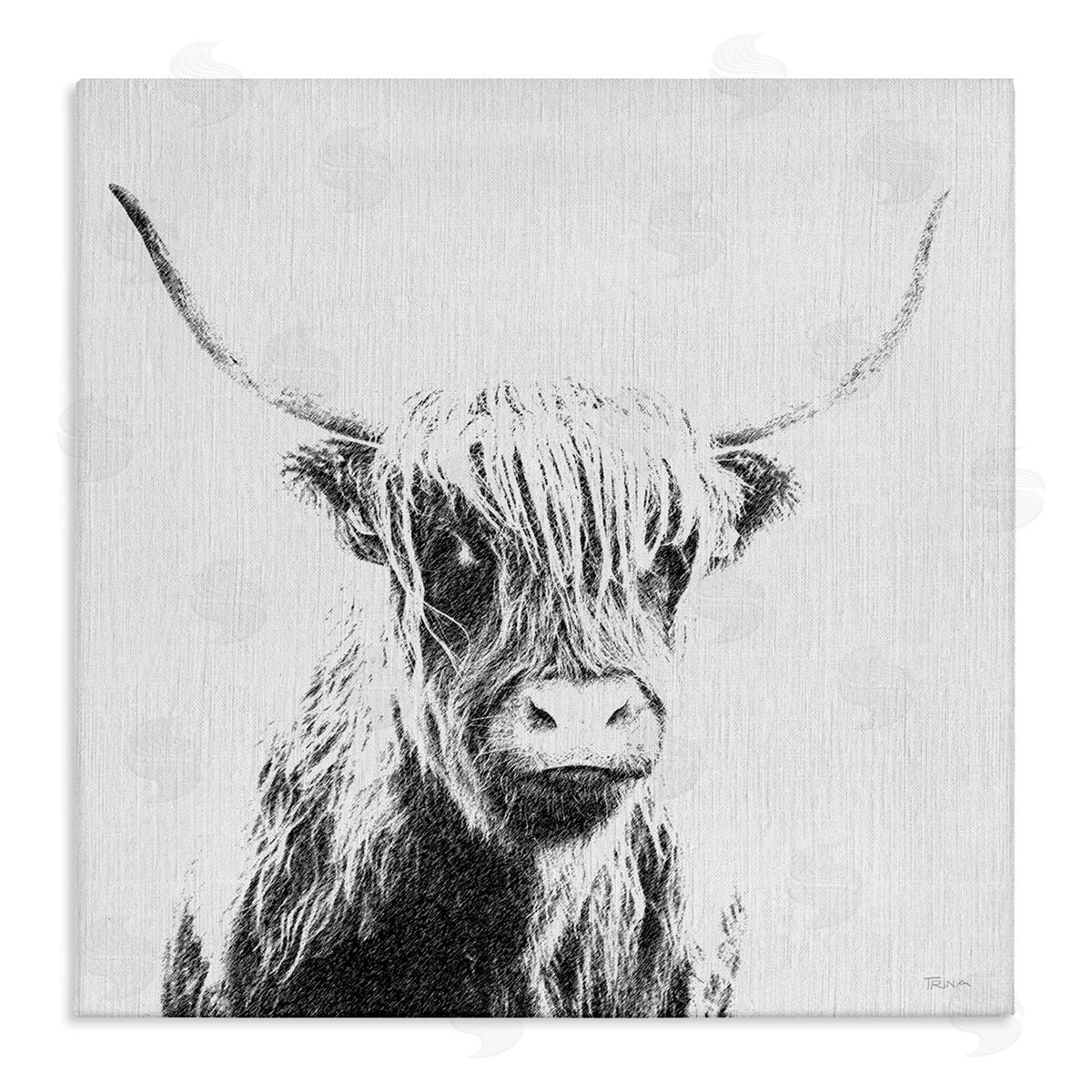 Katrina Craven Longhorn Sketch in Grey Canvas Wall Art Print