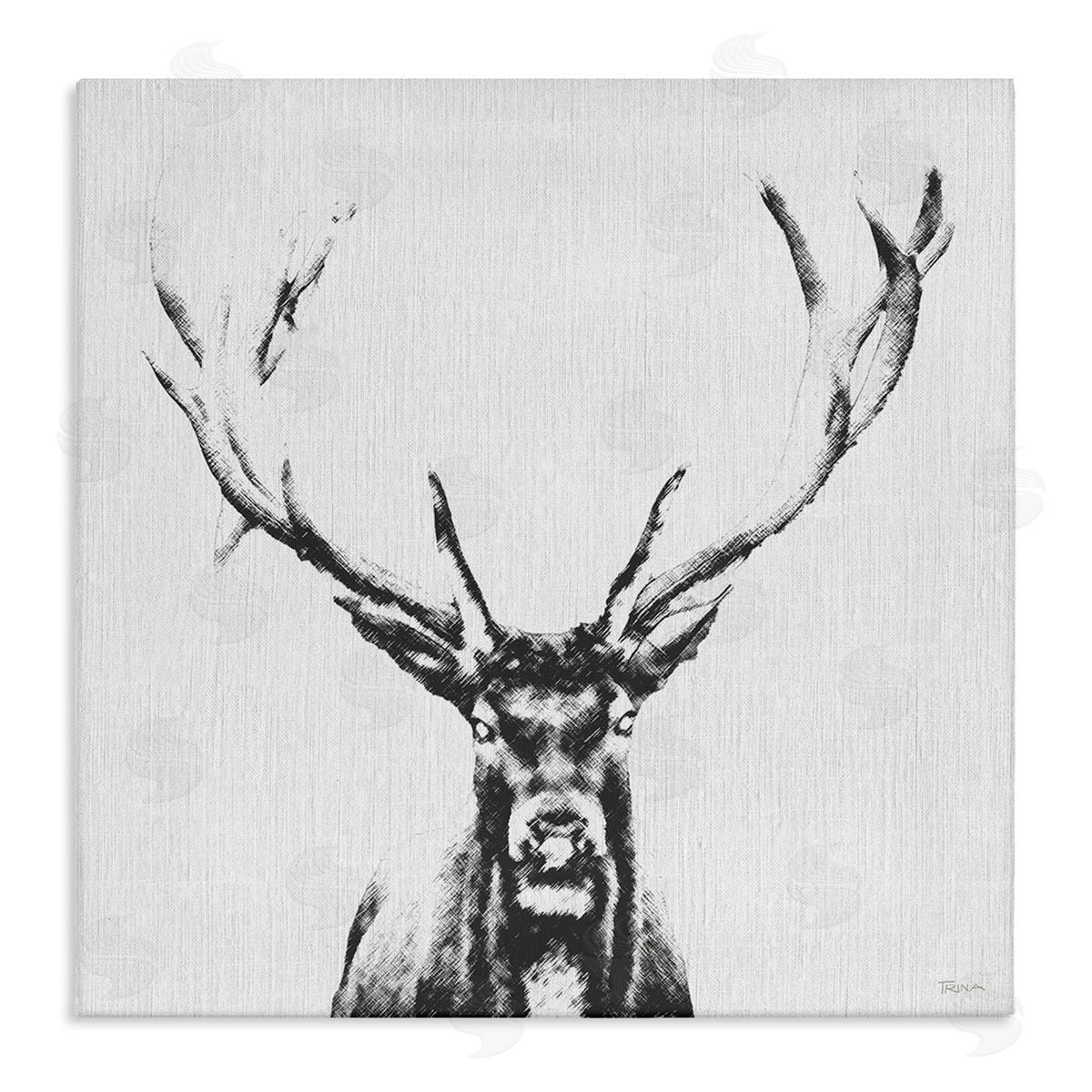 Katrina Craven Stag Sketch in Grey Canvas Wall Art Print