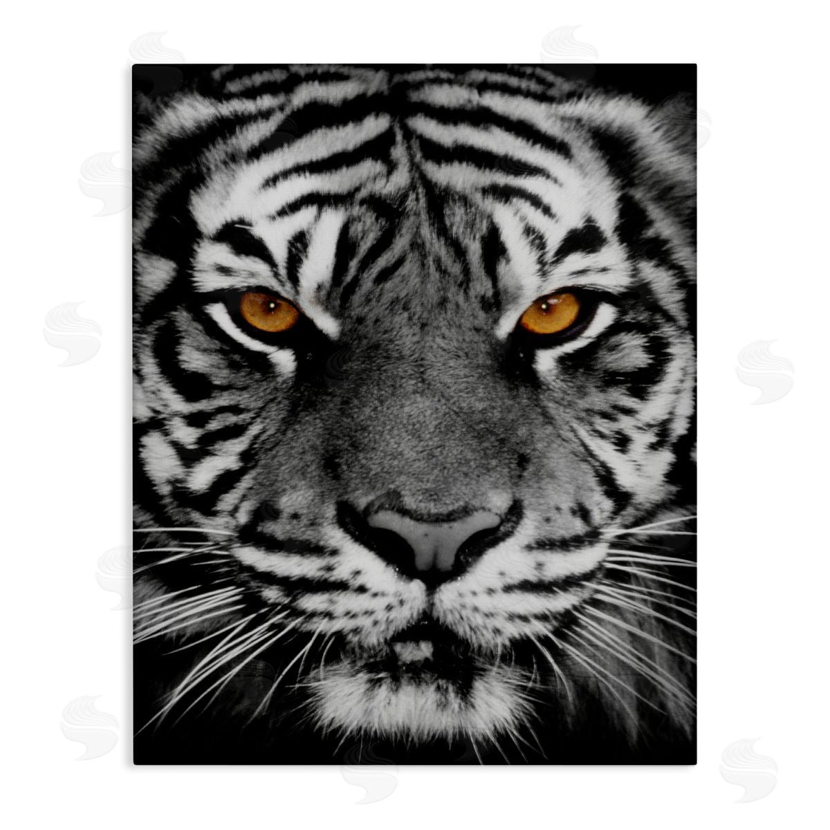 Danita Delimont Fierce Eyed Tiger Canvas Wall Art Print