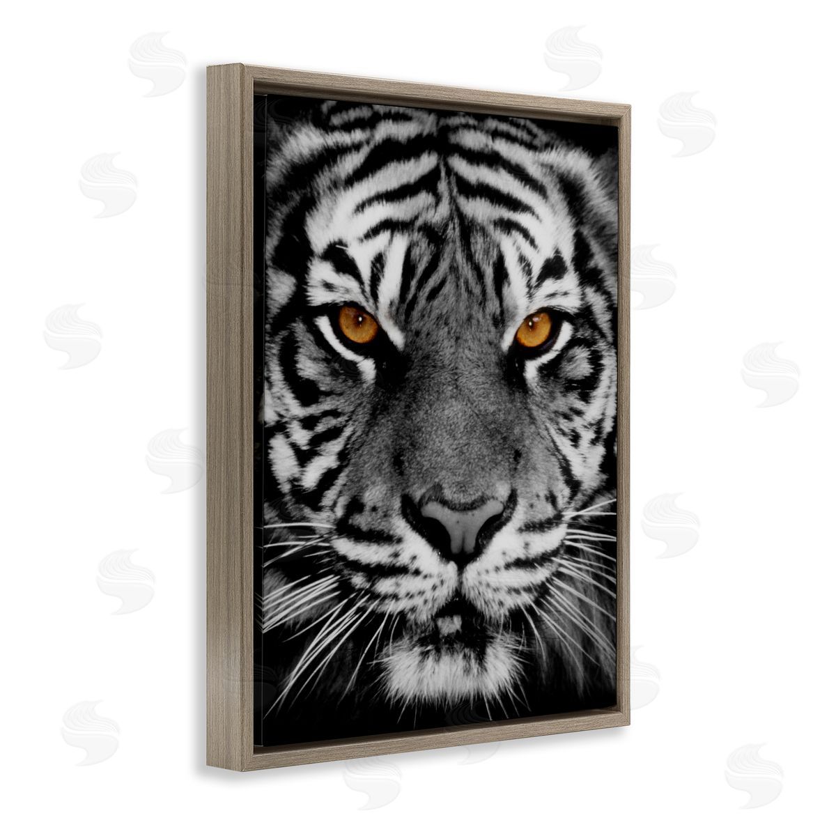 Danita Delimont Fierce Eyed Tiger Brown Floating Frame Canvas Wall Art Print