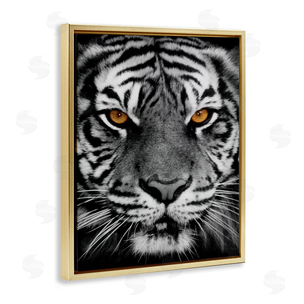 Danita Delimont Fierce Eyed Tiger Gold Floating Frame Canvas Wall Art Print