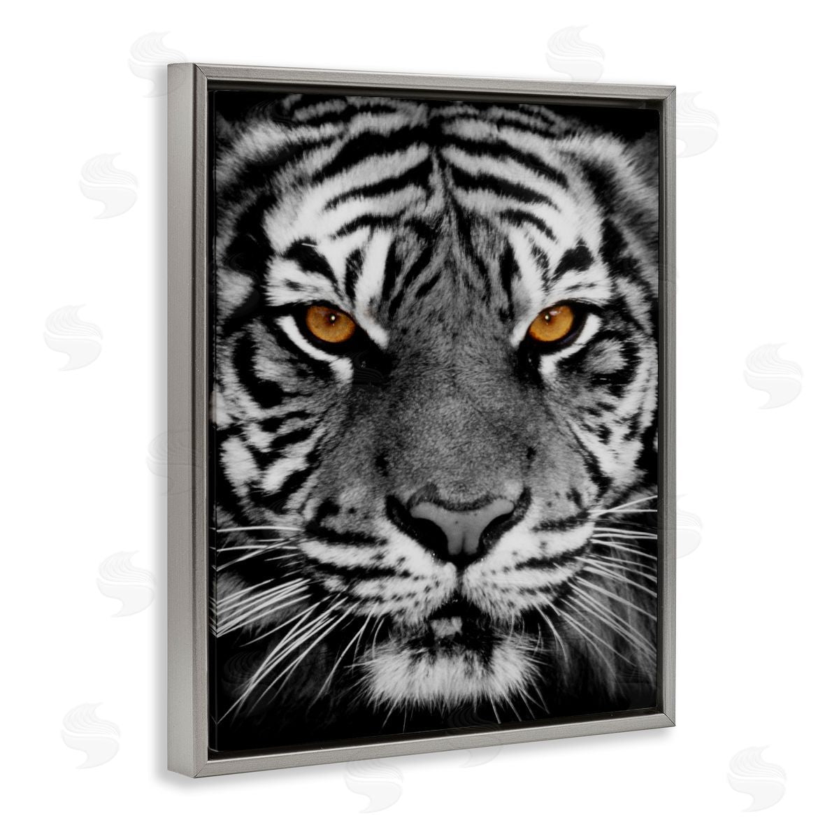 Danita Delimont Fierce Eyed Tiger Gray Floating Frame Canvas Wall Art Print