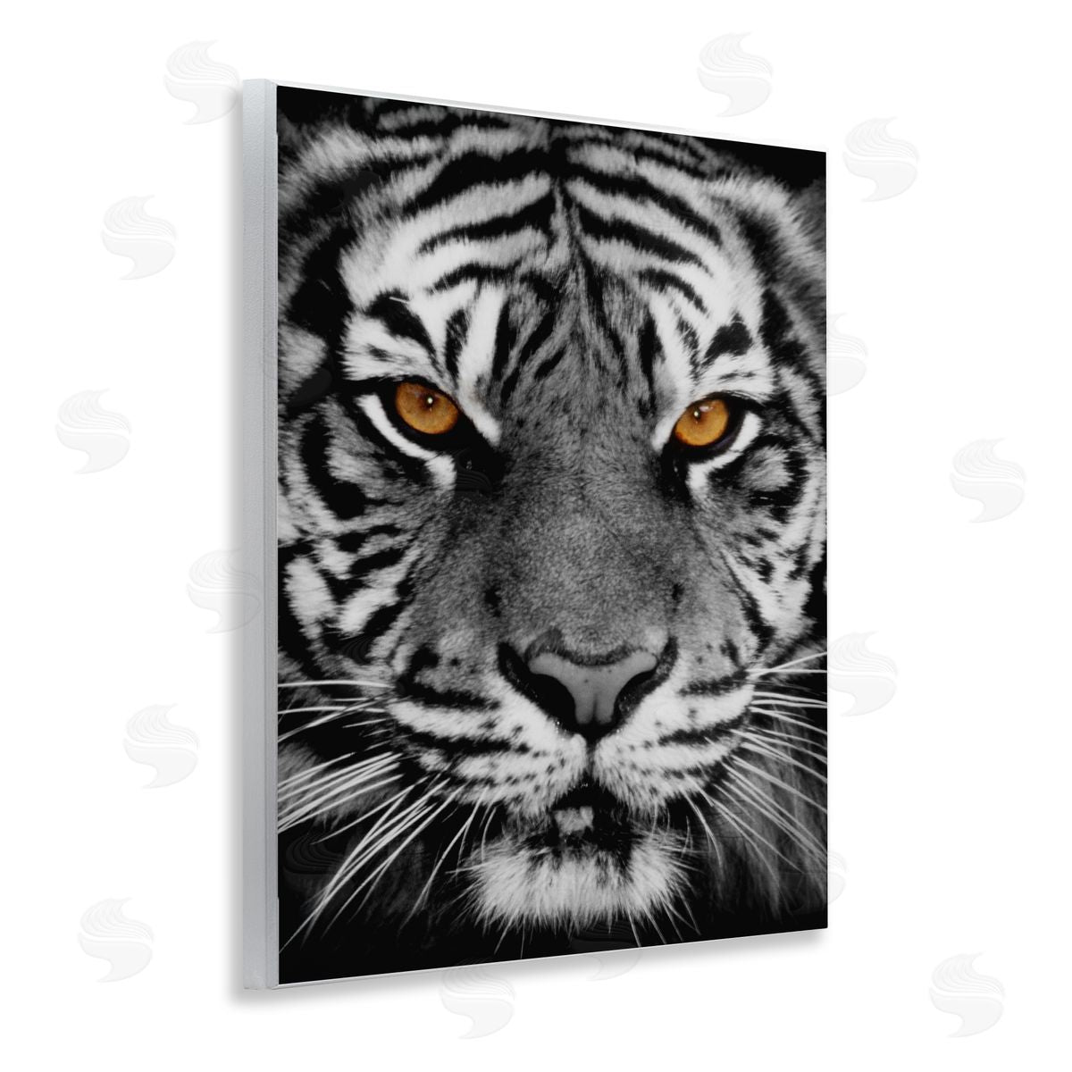 Danita Delimont Fierce Eyed Tiger Wooden Wall Plaque Art Print