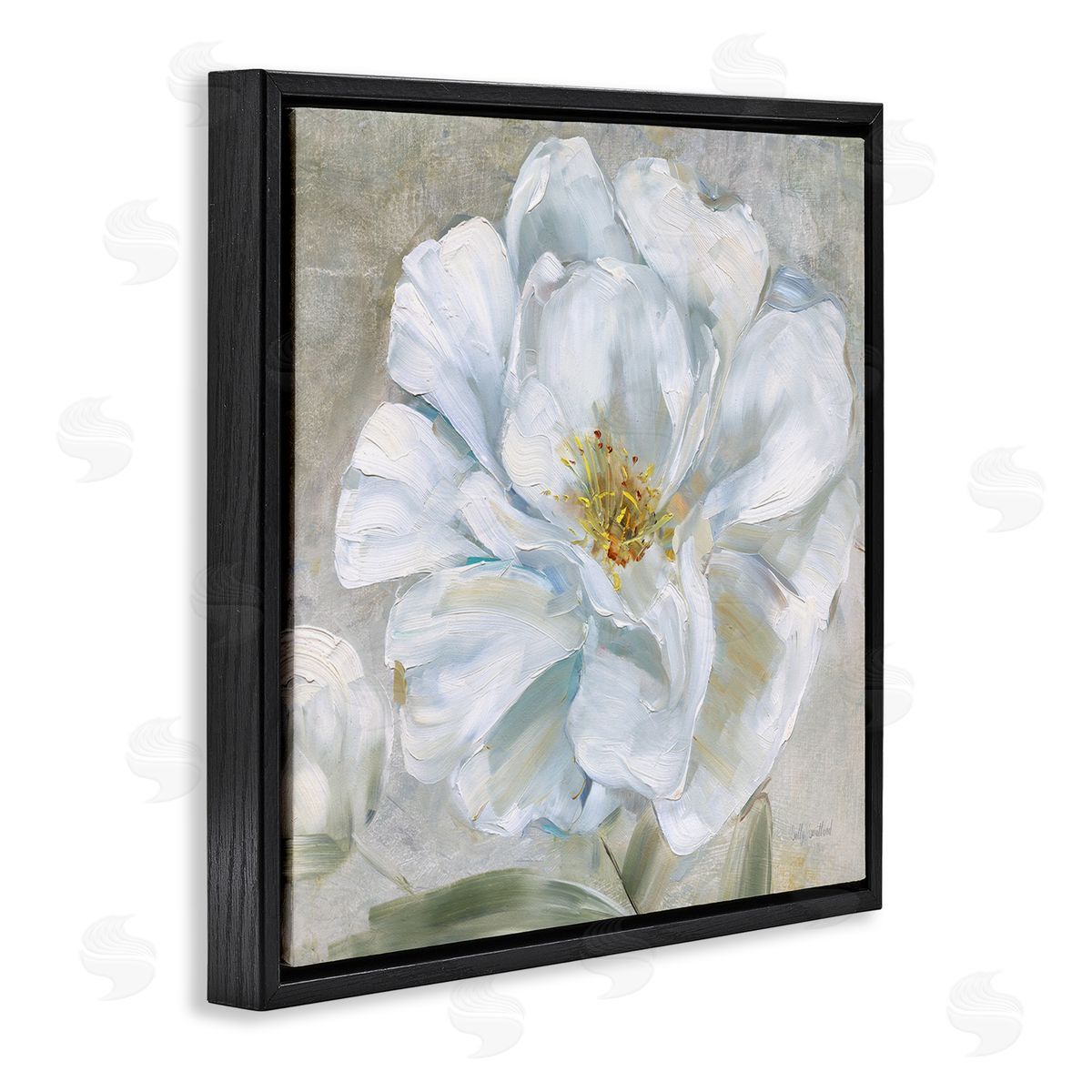 Sally Swatland Close Up White Bloom Black Floating Frame Canvas Wall Art Print