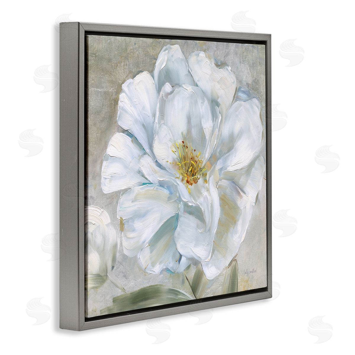 Sally Swatland Close Up White Bloom Gray Floating Frame Canvas Wall Art Print