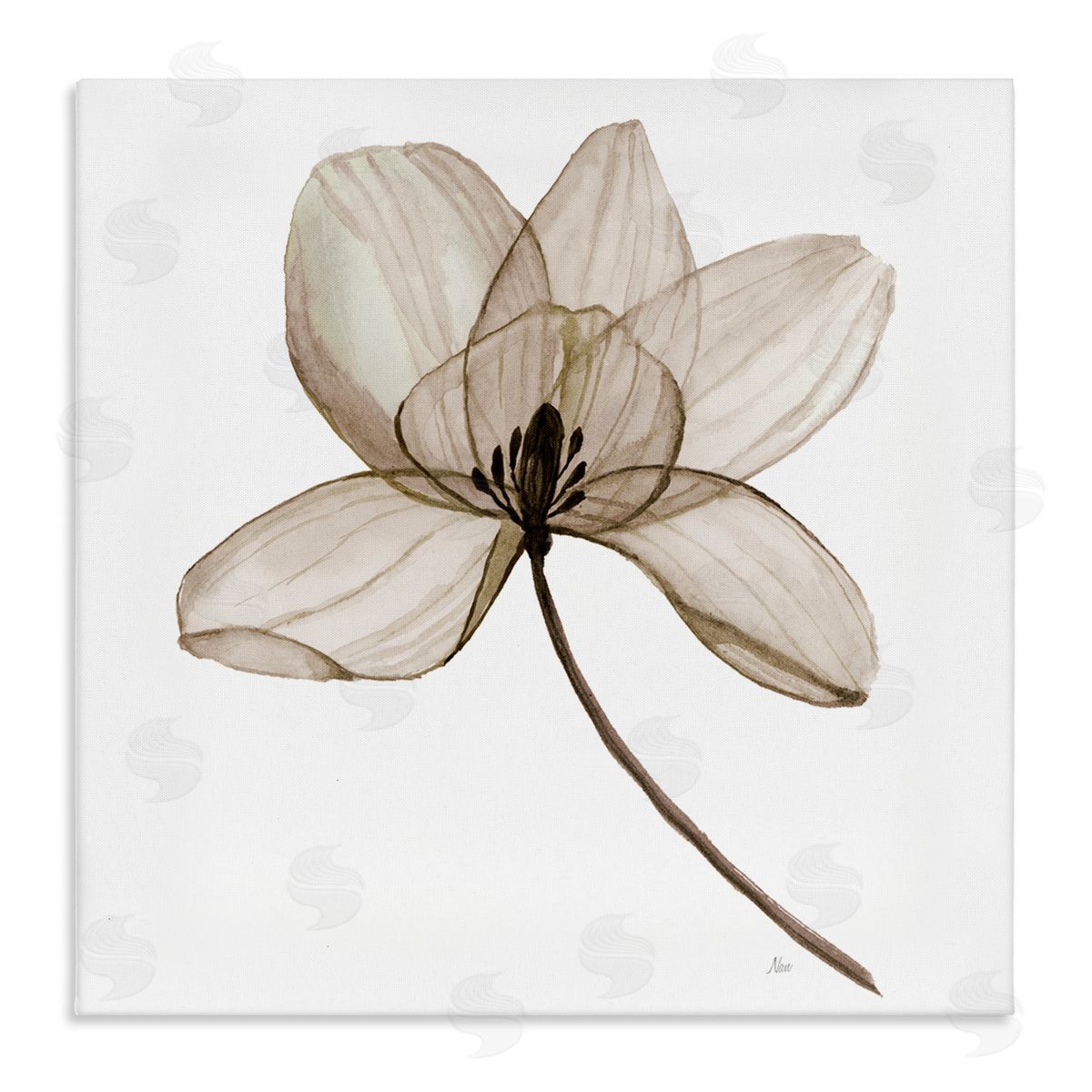 Nan Beige Opaque Blossom Canvas Wall Art Print