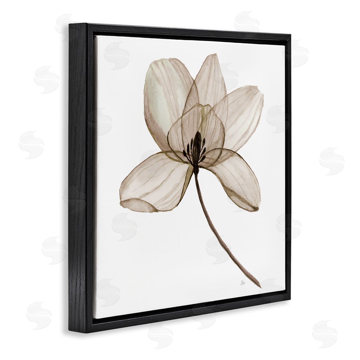 Nan Beige Opaque Blossom Black Floating Frame Canvas Wall Art Print